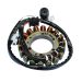 Ricks Motorsport Electric ATV Yamaha Stator 21-921