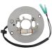 Ricks Motorsport Electric Stator 21-926