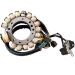 Ricks Motorsport Electric ATV Yamaha Stator 21-933