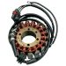 Ricks Motorsport Electric Stator 21-568