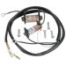 Ricks Electric Magneto Stator Honda Kawasaki Suzuki