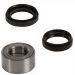 All Balls Front Wheel Bearing & Seal Kit Kawasaki KVF300 KLF300C KVF400 KLF400B