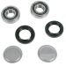 All Balls Swingarm Bearing Repair Kit Bombardier 500 650 / Suzuki LTA500F