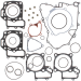 Winderosa Complete Gasket Kit Kawasaki KFX700 Suzuki LTV700F Twin Peaks