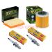 Service Engine Kit Hiflo Air & oil filter with NGK spark plug aprillia 450 S/RXV