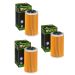 Hiflofiltro HF556 Oil Filter 3 Pack John Deere Trail Buck 650 Auto 2005