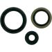 Moose Racing Oil Seal Set Polaris M822143