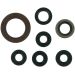 Moose Racing Oil Seal Set Arctic Cat & Suzuki M822201