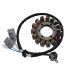 Ricks Electric Magneto Stator for Kawasaki KRF 800 Teryx 2014-2018