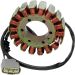 Ricks Electric Magneto Stator 21-021