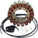 Ricks Electric Stator 21-024