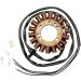 Ricks Electric Stator 21-424