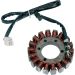 Ricks Electric Magneto Stator Kawasaki ZX-6R ZX600D ZX600E Ninja
