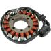Ricks Electric Magneto Stator Kawasaki Ninja ZX-6RR 2003-2004