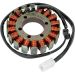 Ricks Electric Magneto Stator Kawasaki Ninja ZX-6RR 2005-2006
