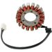 Ricks Electric Magneto Stator Kawasaki ER-6N 650 EX650A EX650C KLE650A Versys