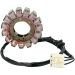 Ricks Electric Magneto Stator Kawasaki Ninja ZX-6R 2007-2008