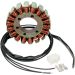 Ricks Electric Magneto Stator Suzuki VS800G 2005-2009 & VS800G 1996-2004