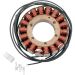 Ricks Electric Magneto Stator Suzuki SV1000 2003-2007