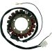 Ricks Electric Magneto Stator 21-401