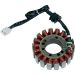 Ricks Electric Magneto Stator 21-407
