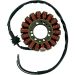 Ricks Electric Magneto Stator 21-410