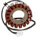 Ricks Electric Magneto Stator 21-412H