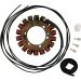 Ricks Electric Magneto Stator 21-415