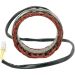 Ricks Electric Magneto Stator 21-420