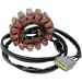 Ricks Electric Magneto Stator 21-423