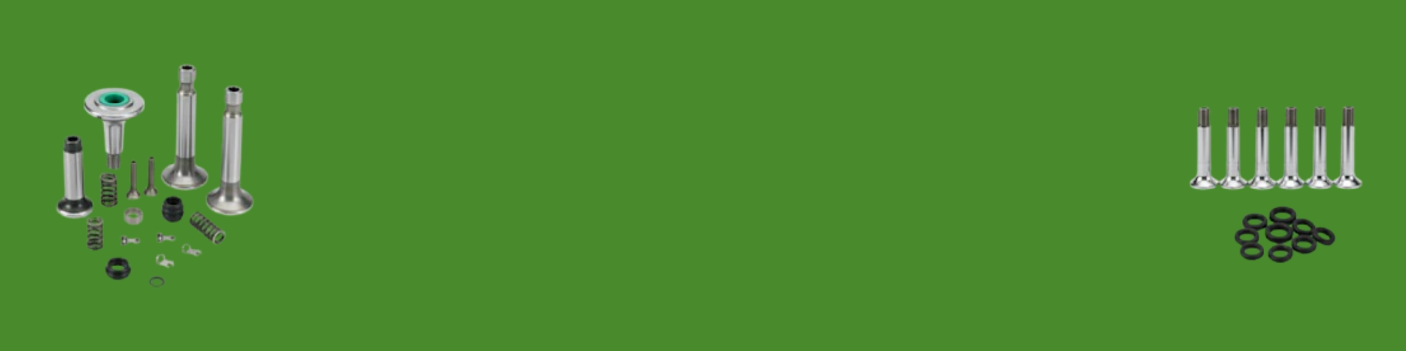 dirt-bike-engine-valves-seals