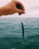 A hand holding a fishing lure above ocean waters, ideal for fishing enthusiasts.
