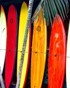 Vibrant surfboards on display at a surf shop in Haleiwa, Hawaii, showcasing tropical colors.